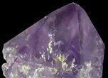 Amethyst Crystal Point - Brazil #64752-1